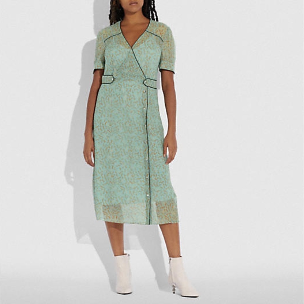 Printed Long Chiffon V Neck Dress from Coach - Picture 2 of 7